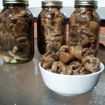 Domowe metody zbierania grzybów na zimę