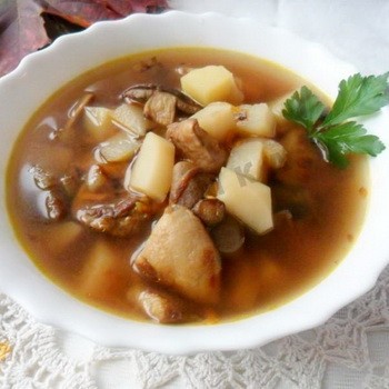 Cara memasak miselium cendawan: resipi untuk sup lazat