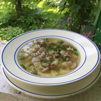 Vajas levesek: receptek friss és fagyasztott gombákból