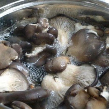 Cara memasak cendawan tiram dan apa yang perlu dimasak dari mereka