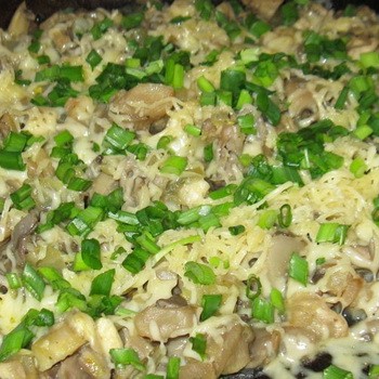 Cendawan tiram dengan keju: resipi untuk sup dan salad