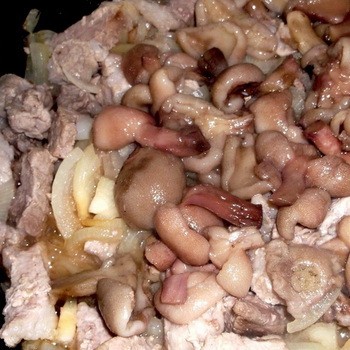 Mięso duszone z grzybami w piekarniku, powolnej kuchence lub kotle