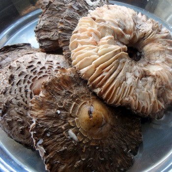 Parasole z marynowanych i wędzonych grzybów