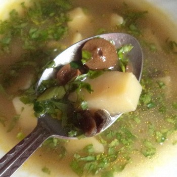 Sup dengan cendawan dan kentang: resepi kursus pertama