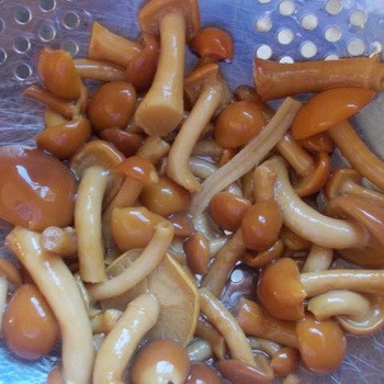 Przetwarzanie grzybów miodowych w domu: przygotowanie do gotowania