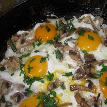 Grzyby miodowe z jajkami: obfite przepisy kulinarne