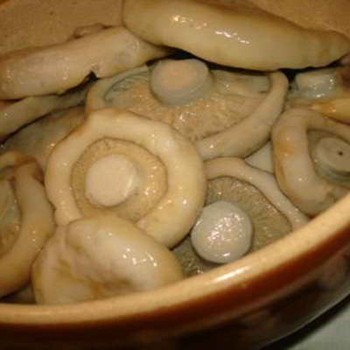 Jak marynować grzyba: przepis ze zdjęciami marynowanych grzybów i wideo