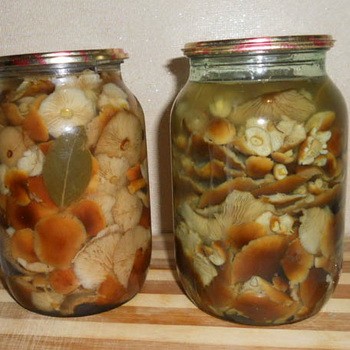 Ciuperci din conserve fără oțet: rețete pentru iarnă
