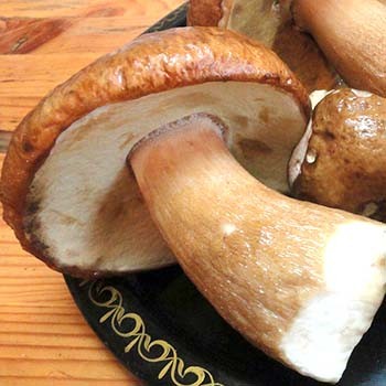 Comment faire cuire des champignons porcini marinés