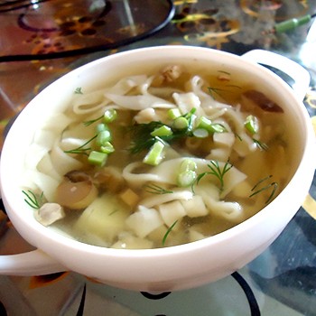 Recettes de soupes aux champignons porcini avec nouilles