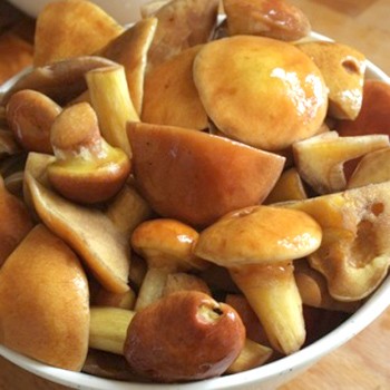 Ciuperci cu usturoi, prăjite și sărate pentru iarnă