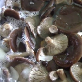 Az őszi gombák savanyítása: receptek a télre
