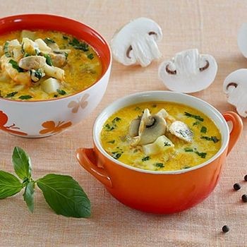 Krim sup champignon dengan krim keju: resepi kursus pertama