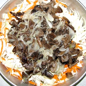 Solyanka de champignons frais avec des légumes