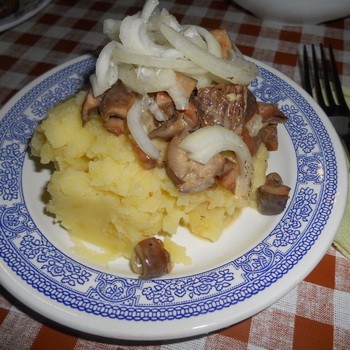 Ghimbir și cartofi în smântână: rețete pentru mâncăruri cu ciuperci