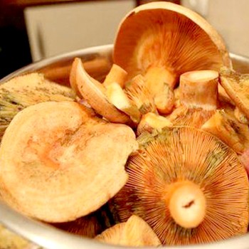 Recettes de cuisses de champignons