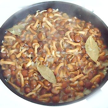 Comment faire cuire les champignons dans une casserole
