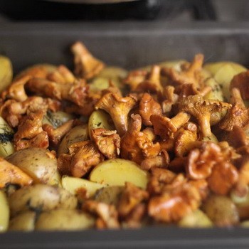 Cara memasak chanterelles dalam ketuhar: resipi mudah