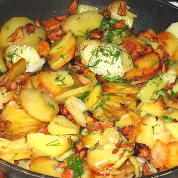 Chanterelles aux pommes de terre cuites dans une casserole