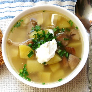 Sup dari buah dada: resepi kursus pertama
