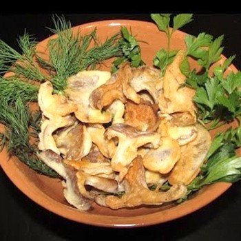 Jak gotować pułapki: przepisy na grzyby