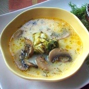 Sup keju dengan champignons: resepi kursus pertama