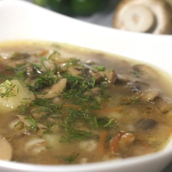 De délicieuses soupes au champignon en conserve